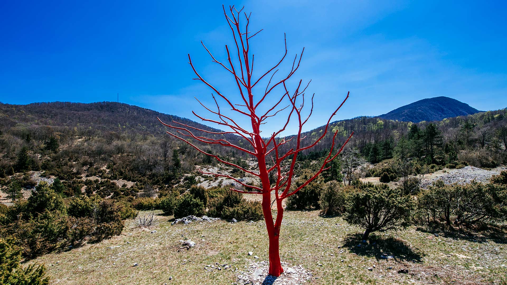 pp_ucka_staze_land-art_naslovna