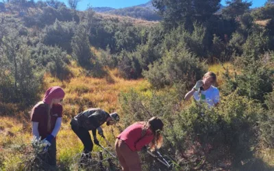Prvi volonterski kamp usmjeren na očuvanje suhih kontinentalnih travnjaka