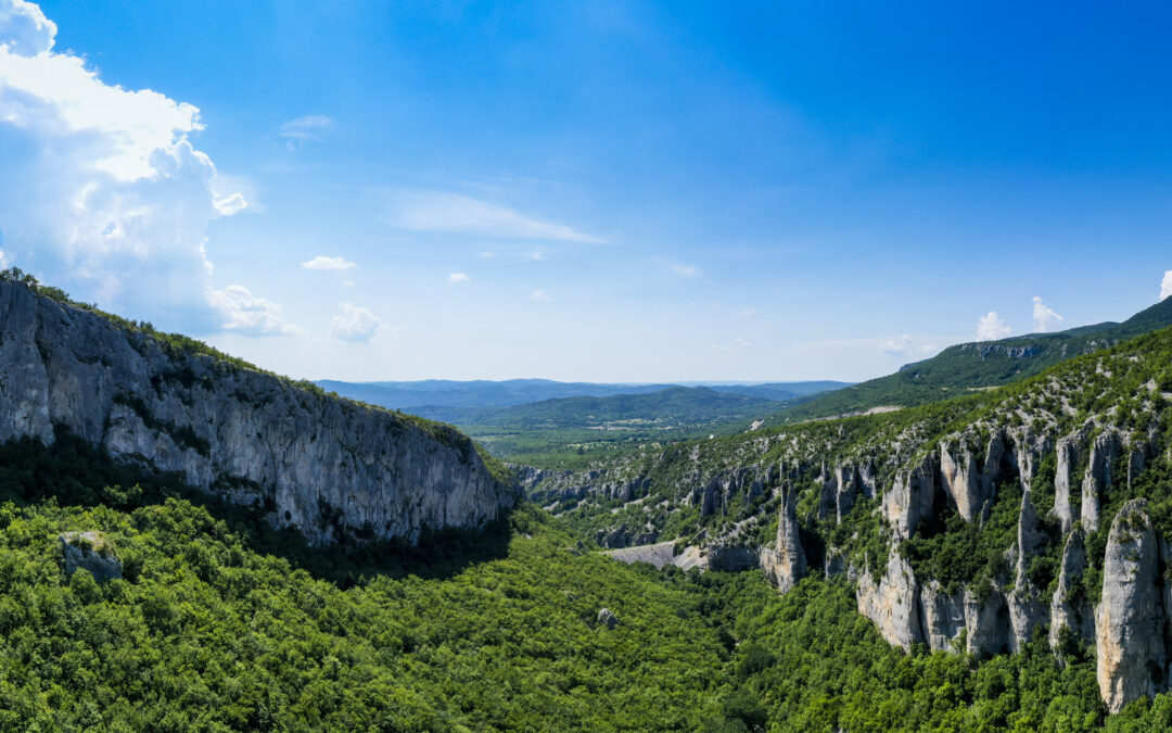 [NATJEČAJ ZA ZAPOŠLJAVANJE] SURADNIK