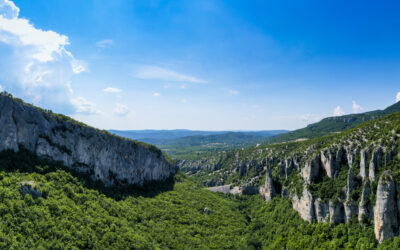 [NATJEČAJ ZA ZAPOŠLJAVANJE] SURADNIK