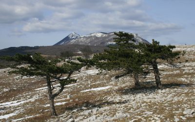 MEĐUNARODNI DAN PLANINA 2017.