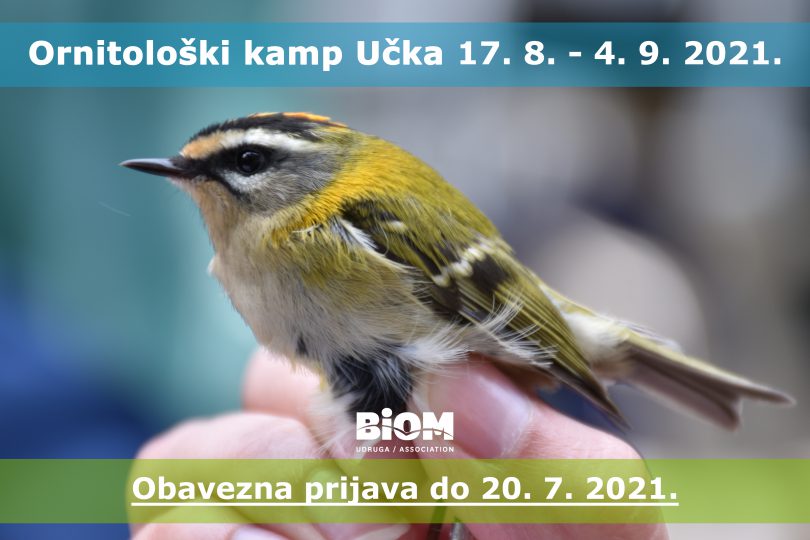 Ornitoloski kamp BIOM Ucka 2021