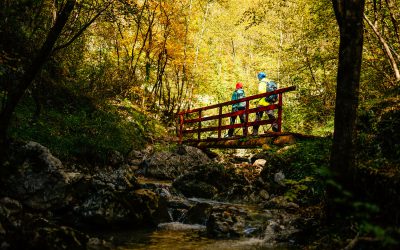 Educational and walking trails