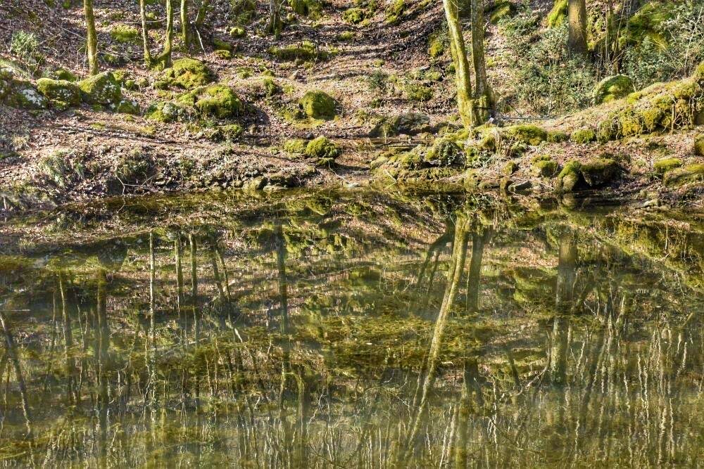 EDUKATIVNIM RADIONICAMA ZA OSNOVNOŠKOLCE U PARKU PRIRODE UČKA OBILJEŽEN SVJETSKI DAN VODA