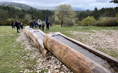 NA ĆIĆARIJI OTVORENO OBNOVLJENO IZLETIŠTE ”KORITA”