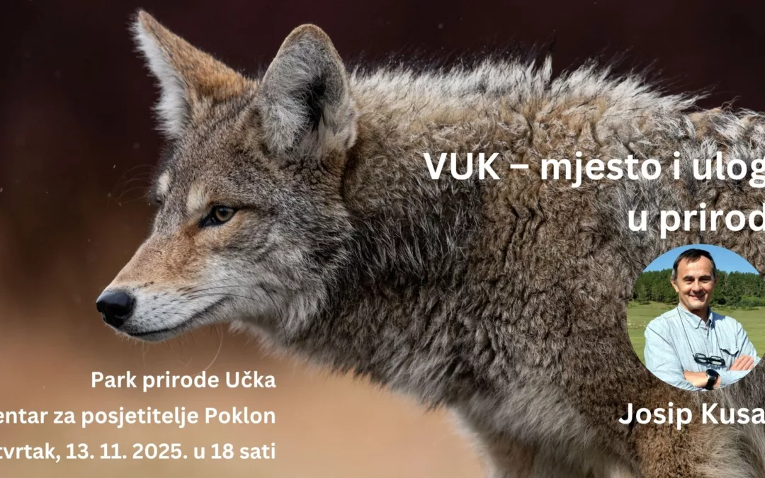 [NAJAVA PREDAVANJA] JOSIP KUSAK: VUK – MJESTO I ULOGA U PRIRODI (s primjerima iz vlastitih istraživanja)