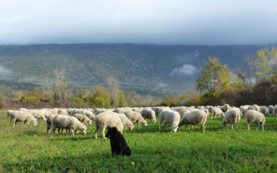 U Centru za posjetitelje Poklon održat će se Info dan DINAPLCONNECT projekta