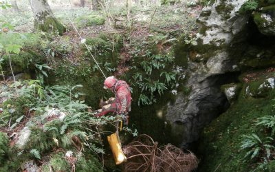 CLEAN UNDERGROUND OF NATURE PARK UČKA