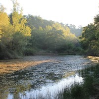 Fascinantni zvukovi Parka prirode Učka