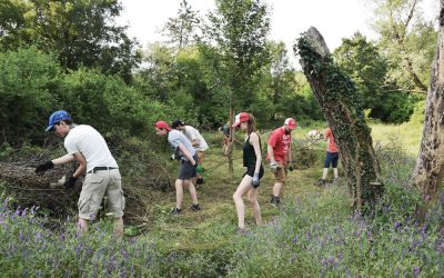 Vratimo livade leptirima! – pridružite se volonterskom kampu za  obnovu travnjaka u Parku prirode Učka